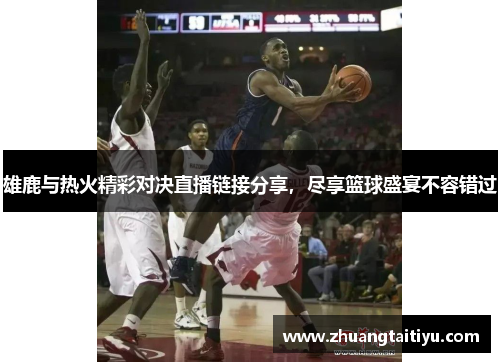 雄鹿与热火精彩对决直播链接分享，尽享篮球盛宴不容错过